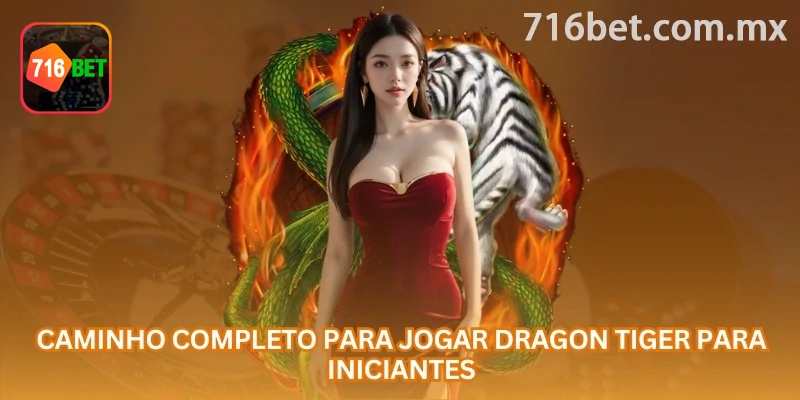 Imagem final de Dragon Tiger online, com o registro de “apostas laterais”